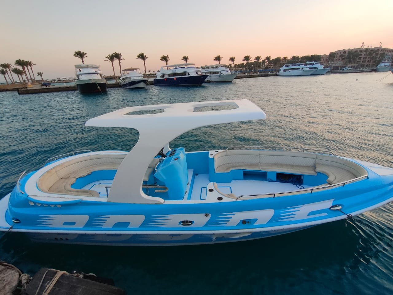 Private Speed Boat Trip from Hurghada with Dolphin Swim, Snorkeling & Abu Munkar Island