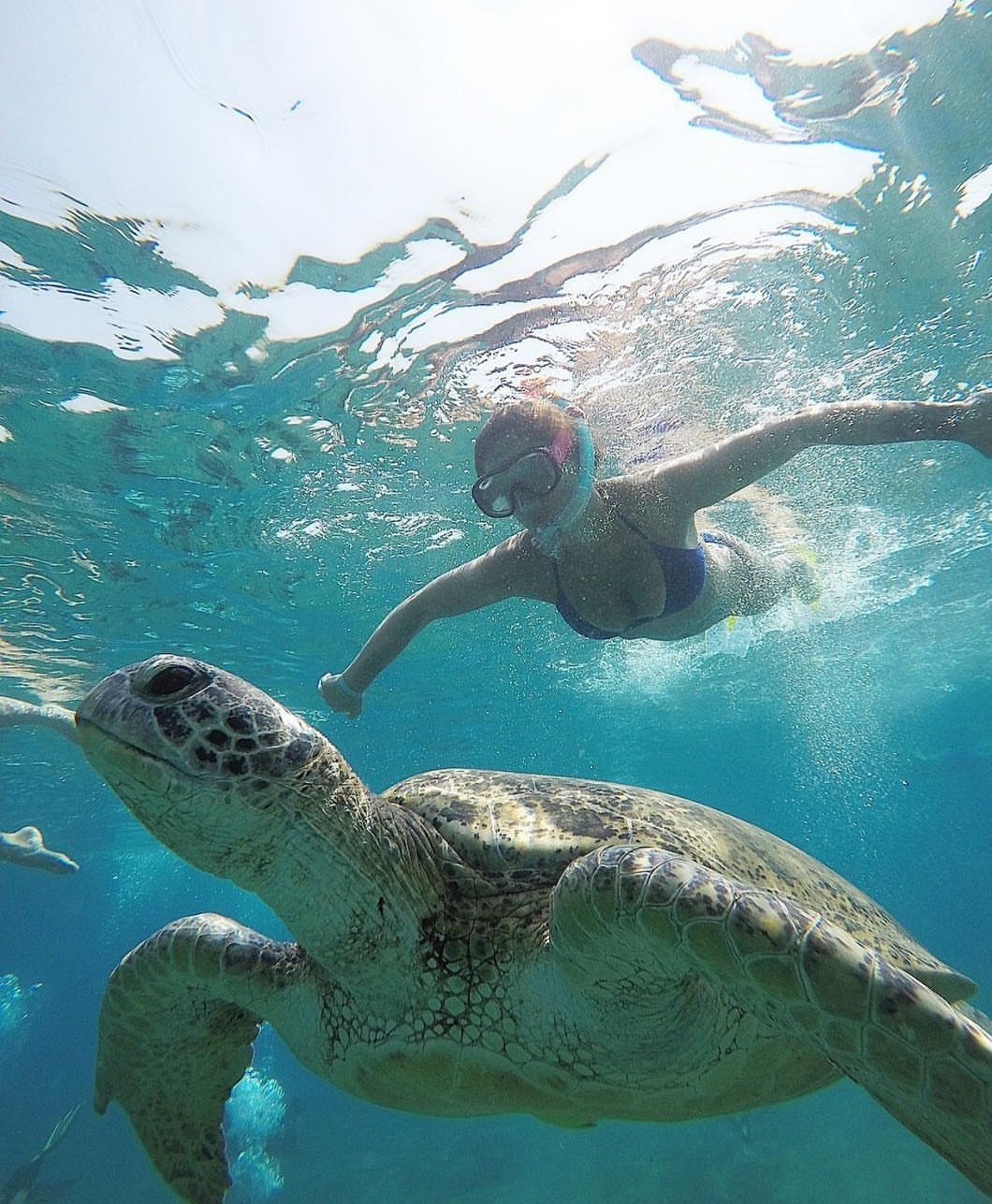 Abu Dabbab Snorkeling Trip in Marsa Alam – Swim with Turtles