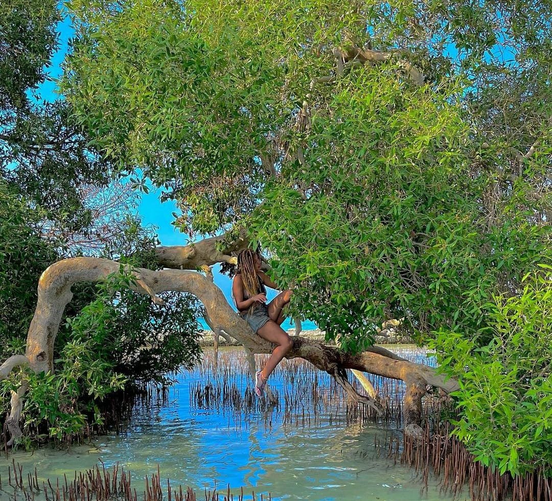 Sharm El Luli Snorkeling Trip – El Qulaan Lagoon from Marsa Alam