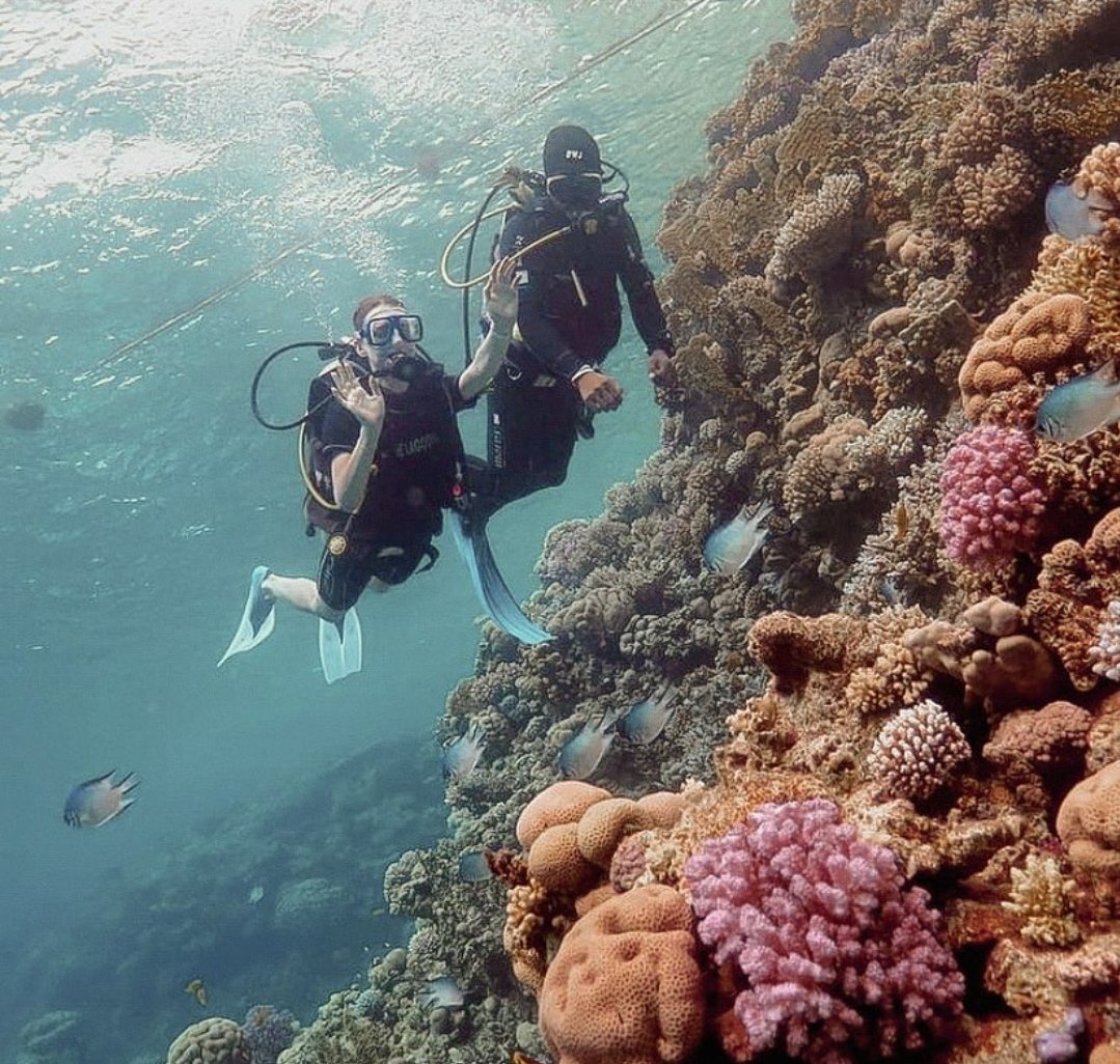 PADI Open Water Diver, diving course – Hurghada